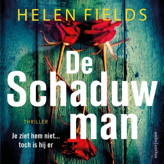 De schaduwman