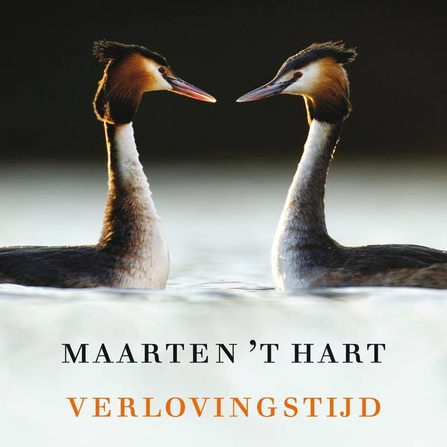 Verlovingstijd: Voorgelezen door Jeroen Willems - Met een nawoord van Maarten 't Hart