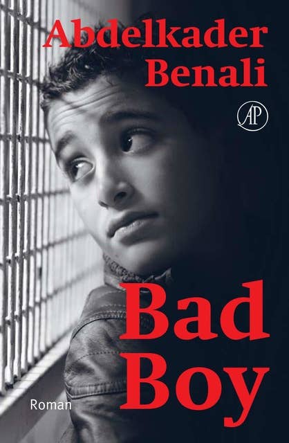 Bad Boy: roman