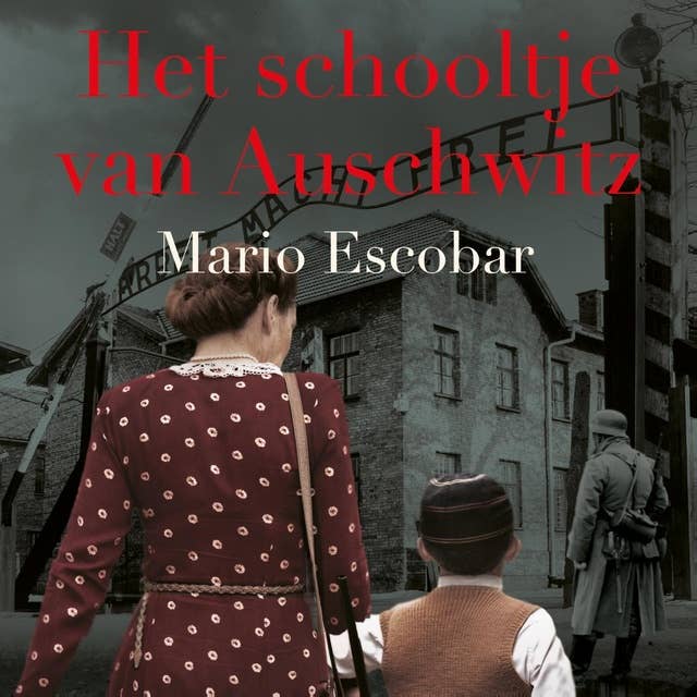Het schooltje van Auschwitz: Het waargebeurde verhaal van de vrouw die vrijwillig op de trein stapte en hoop bracht naar een van de donkerste plekken