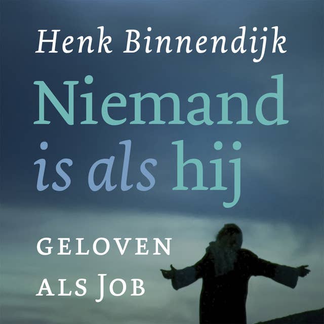 Niemand is als hij: Geloven als Job