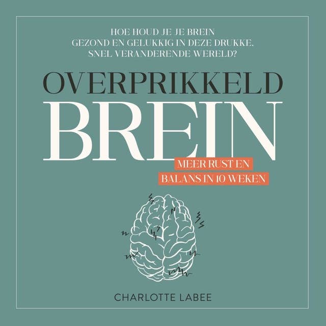 Cover for Overprikkeld Brein: Meer rust en balans in 10 weken