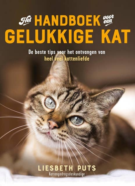 Het handboek voor een gelukkige kat: De beste tips voor het ontvangen van heel veel kattenliefde