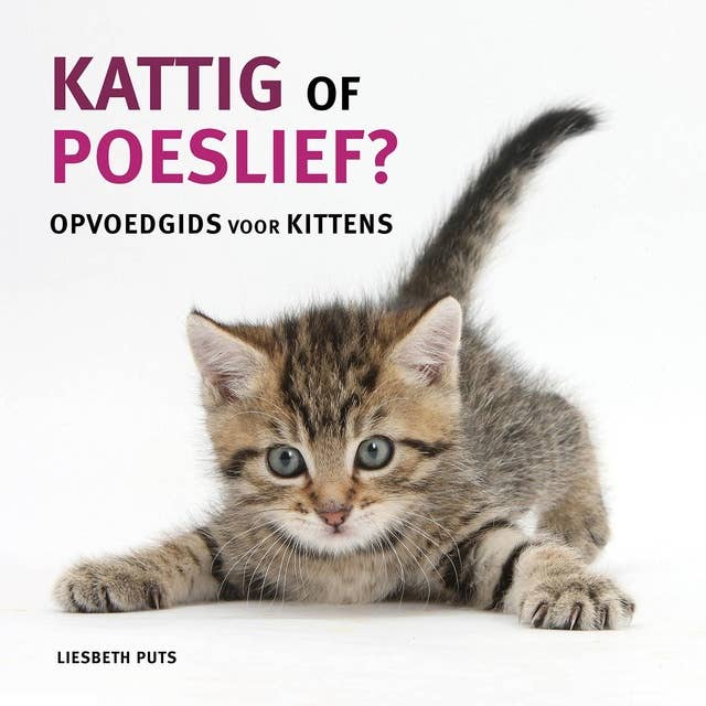 Kattig of poeslief: Opvoedgids voor kittens