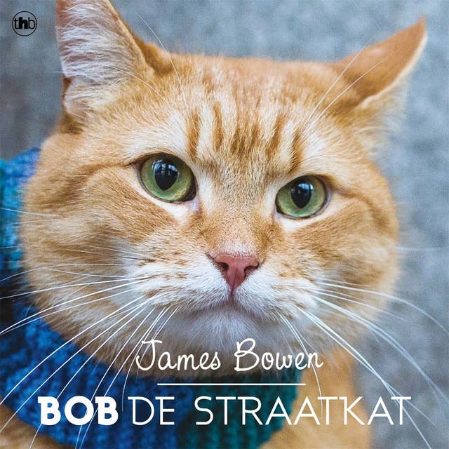 Cover for Bob de straatkat