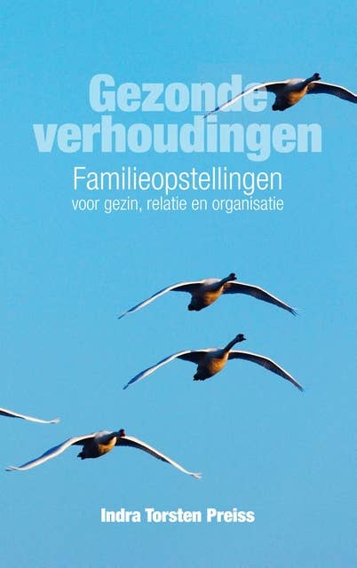 Gezonde verhoudingen: familieopstellingen voor gezin, relatie en organisatie