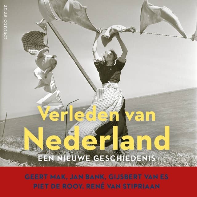 Verleden van Nederland: Een nieuwe geschiedenis