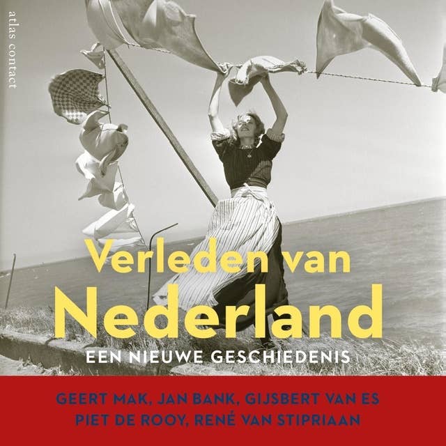 Verleden van Nederland: Een nieuwe geschiedenis