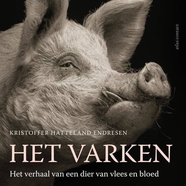 Het varken: het verhaal van een dier van vlees en bloed