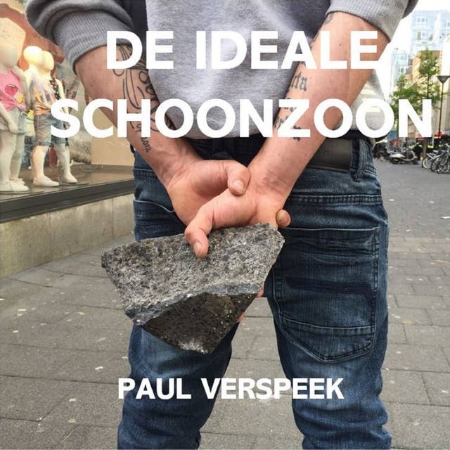 De ideale schoonzoon: Spraakmakende strafzaken onder een vergrootglas