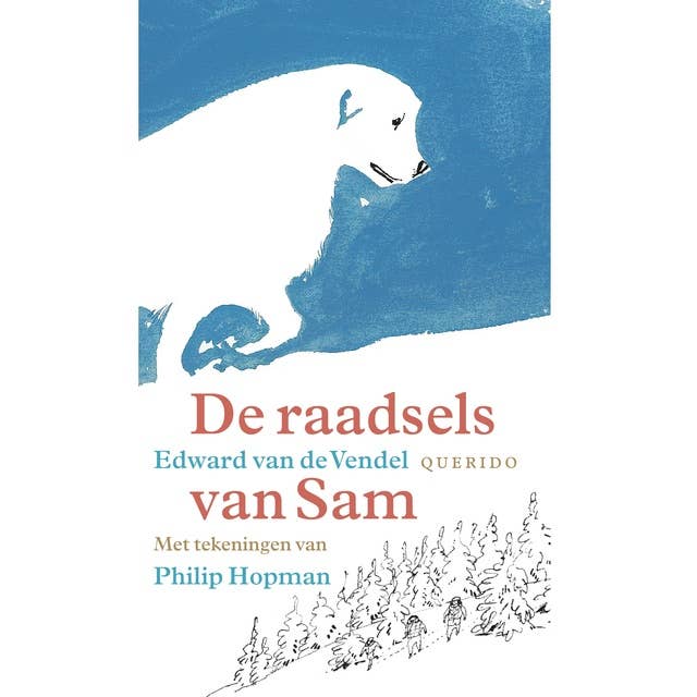 Cover for De raadsels van Sam
