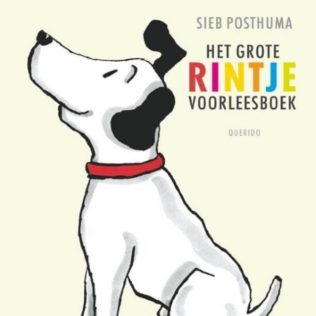 Het grote Rintje voorleesboek 