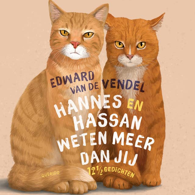 Hannes en Hassan weten meer dan jij 