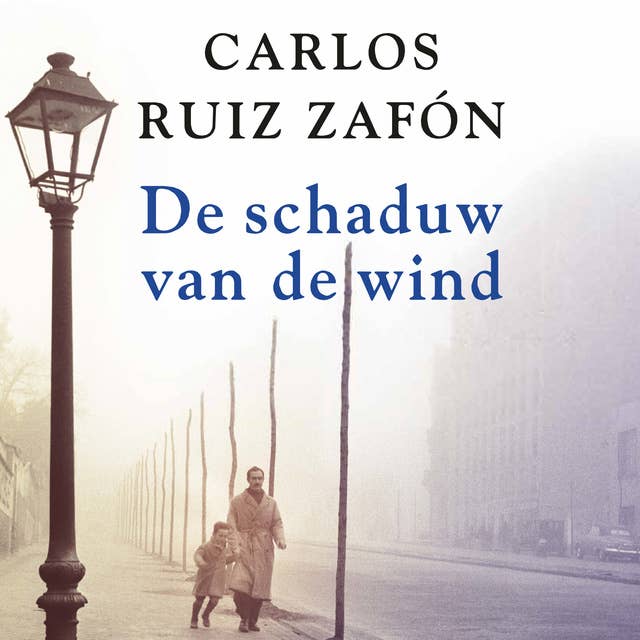 De schaduw van de wind 