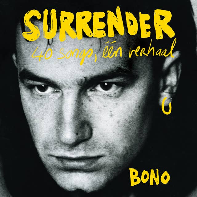 Surrender: 40 songs, één verhaal