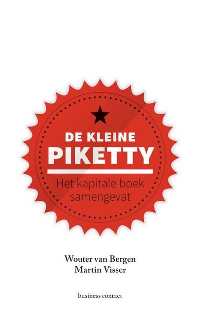 De kleine Piketty: Het kapitale boek samengevat