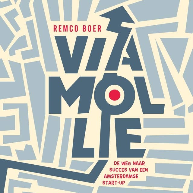 Via Mollie: De weg naar succes van een Amsterdamse start-up