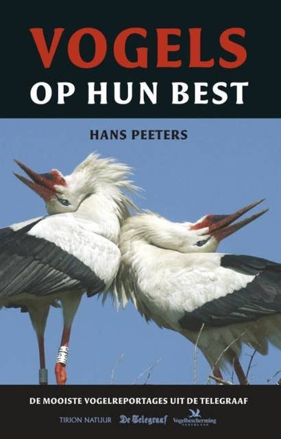 Vogels op hun best: de mooiste vogelreportages uit De Telegraaf