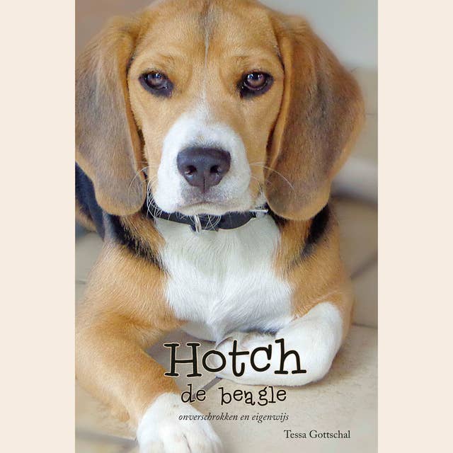 Hotch de Beagle: onverschrokken en eigenwijs