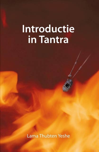 Introductie in Tantra: een visie van heelheid