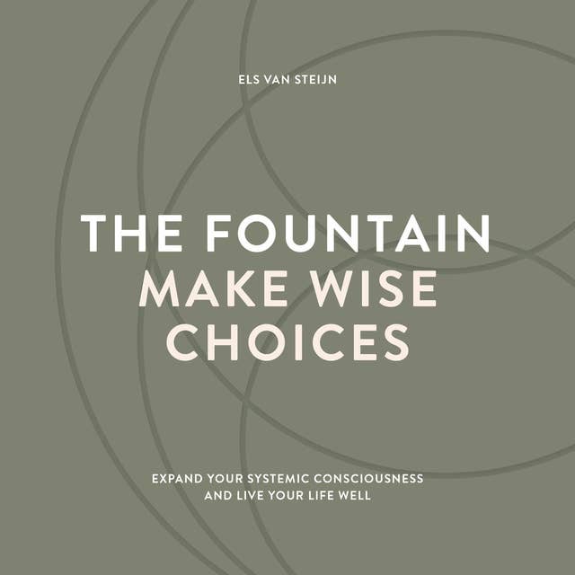 Cover for The fountain, make wise choices: Expand your systemic consciousness and live your life well