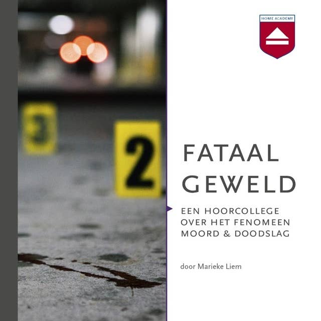 Fataal geweld: Een hoorcollege over het fenomeen moord & doodslag