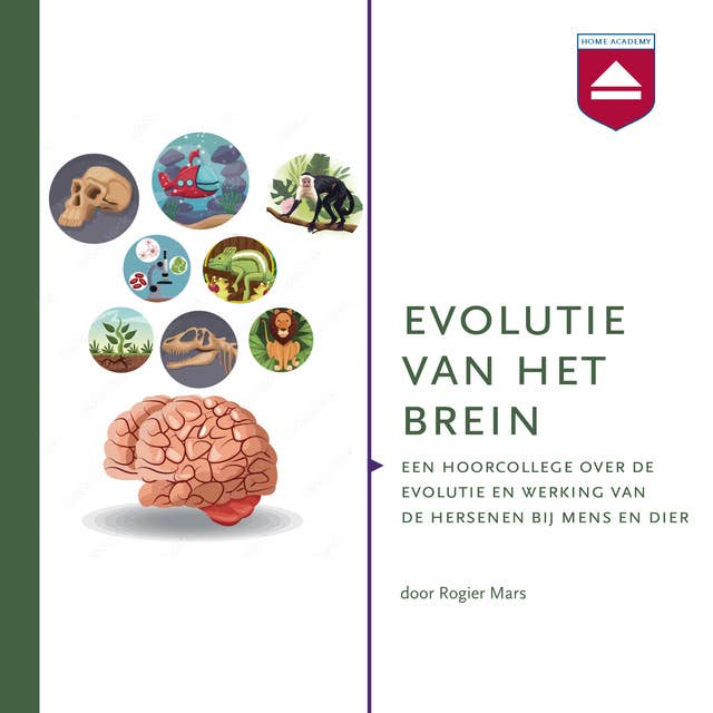Evolutie van het brein: Een hoorcollege over de evolutie en werking van de hersenen bij mens en dier