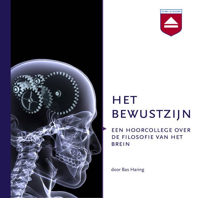 Het Bewustzijn: Een hoorcollege over de filosofie van het brein