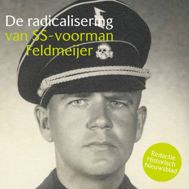 De radicalisering van SS-Voorman Feldmeijer: Verrassende personages uit WO2