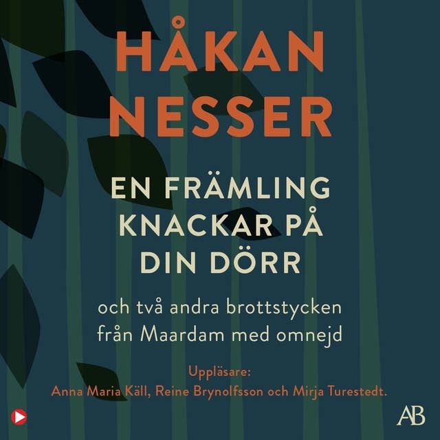 En främling knackar på din dörr by Håkan Nesser