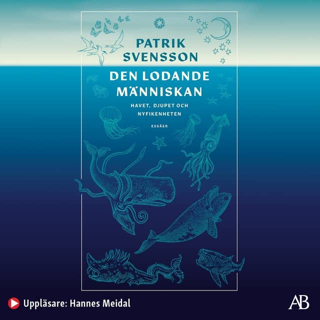 Cover for Den lodande människan : havet, djupet och nyfikenheten: Havet, djupet och nyfikenheten
