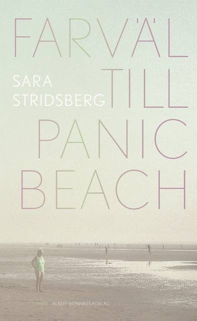 Farväl till Panic Beach : Roman Sara Stridsberg