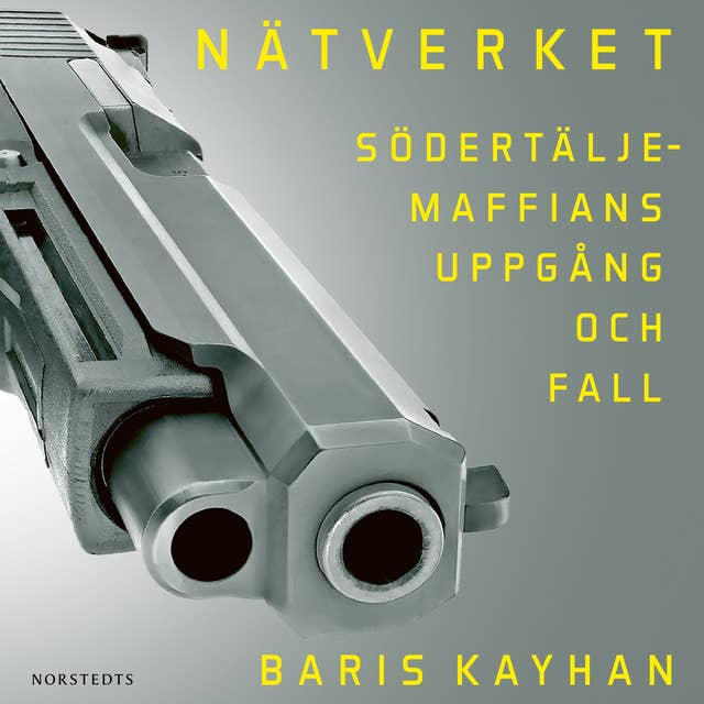 Cover for Nätverket