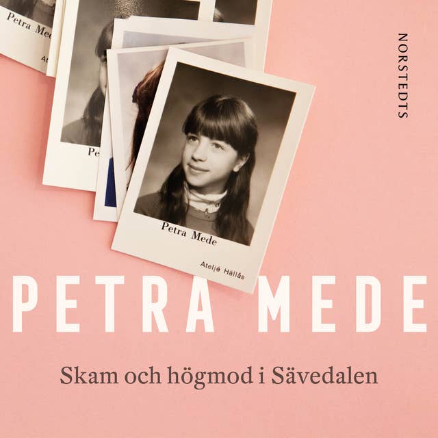 Cover for Skam och högmod i Sävedalen