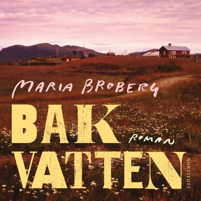 Cover for Bakvatten