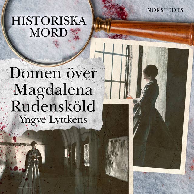 Cover for Domen över Magdalena Rudensköld : Historiska mord del 3