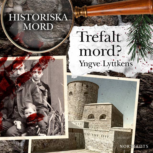 Cover for Trefalt mord? : Historiska mord del 7