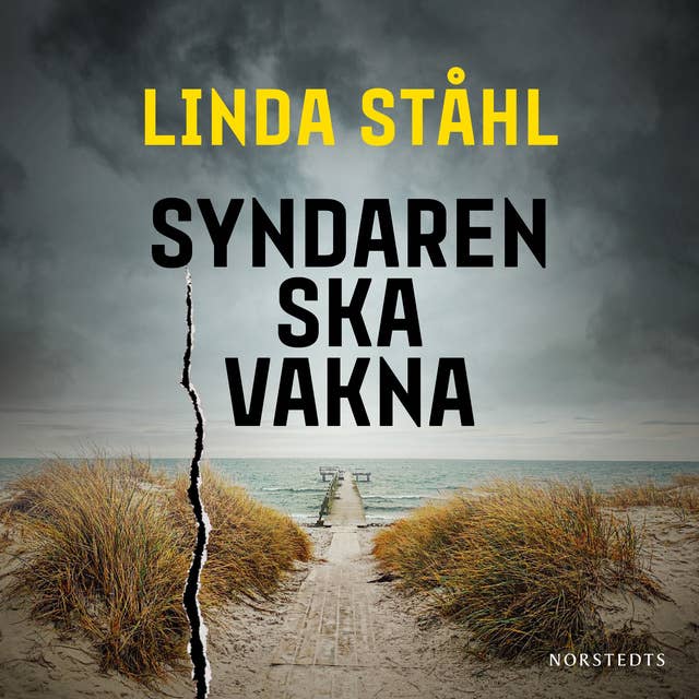 Cover for Syndaren ska vakna