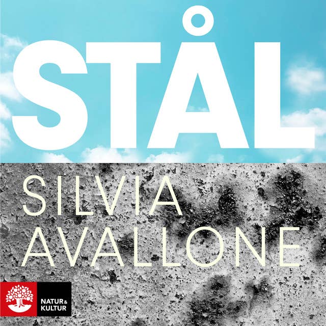 Cover for Stål