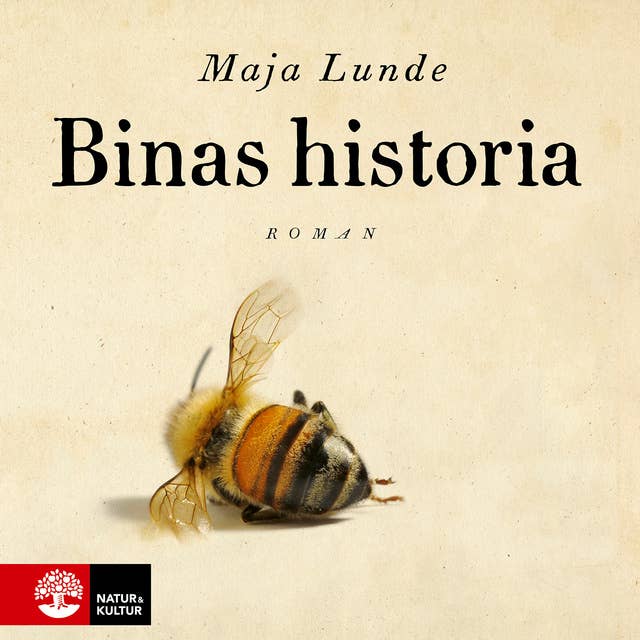 Cover for Binas historia