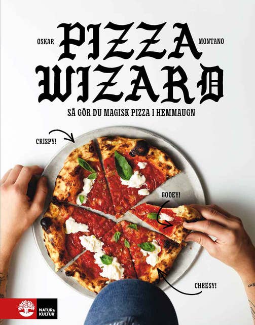 Cover for Pizza wizard