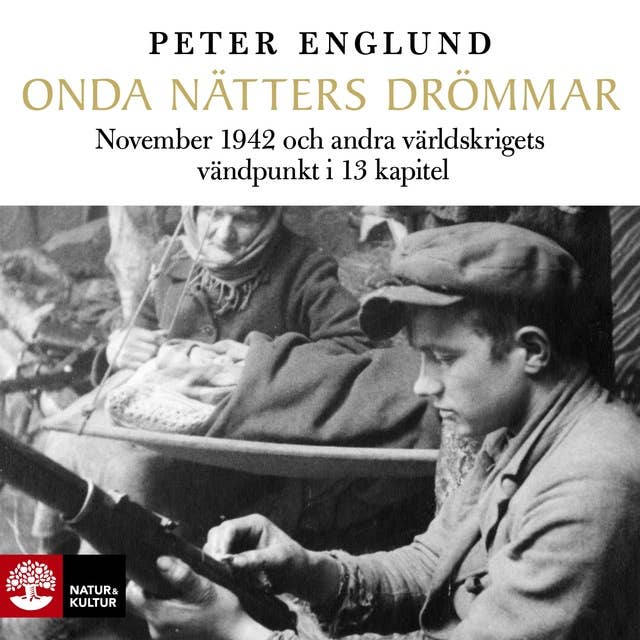 Onda nätters drömmar : November 1942 och andra världskrigets vändpunkt i 13 kapitel