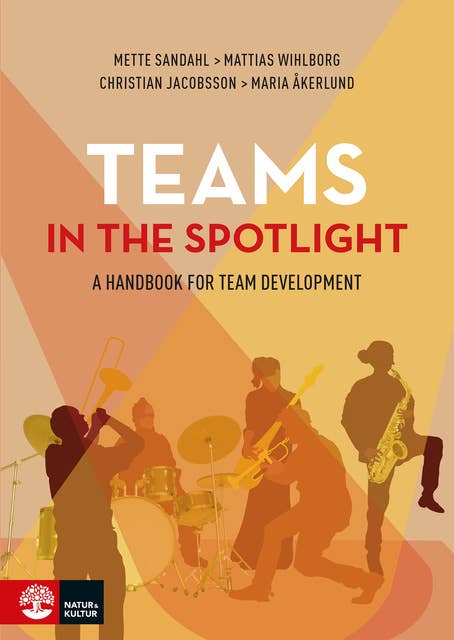 Teams in the Spotlight : A Handbook for Team Development