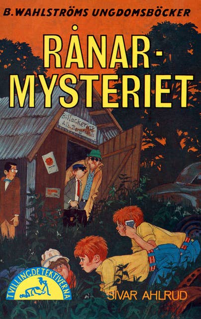 Cover for Rånar-mysteriet