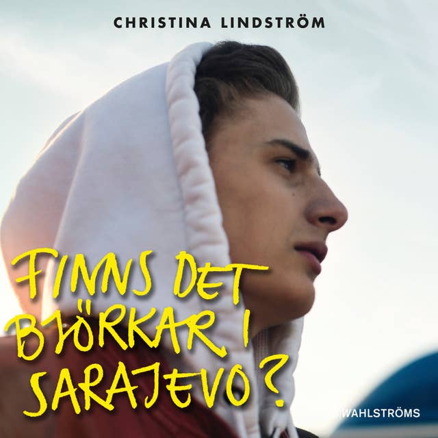 Finns det björkar i Sarajevo?