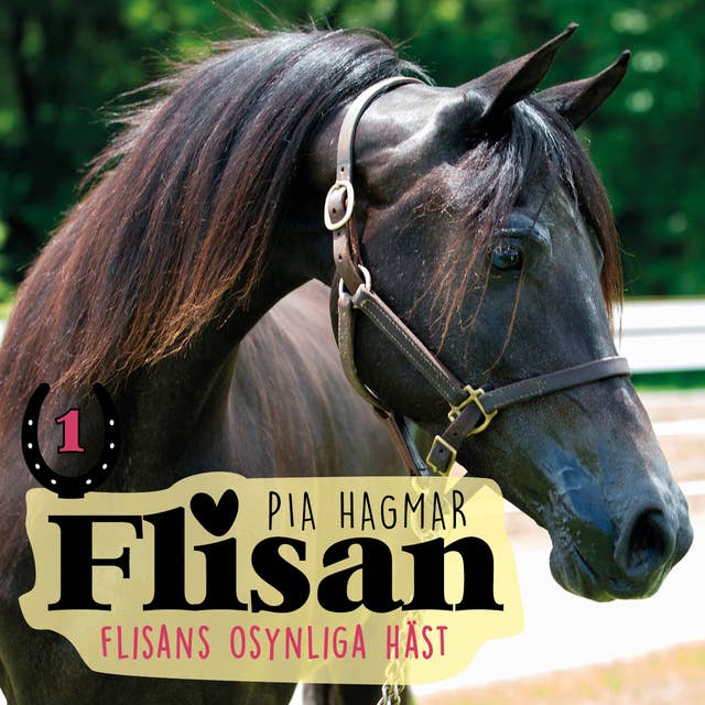 Cover for Flisans osynliga häst