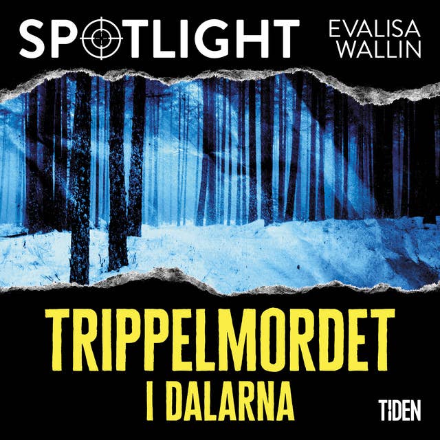 Cover for Trippelmordet i Dalarna