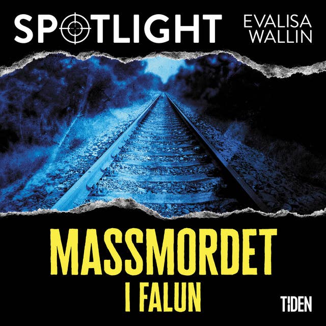 Cover for Massmordet i Falun