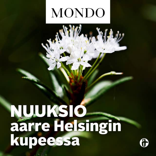 Nuuksio – aarre Helsingin kupeessa