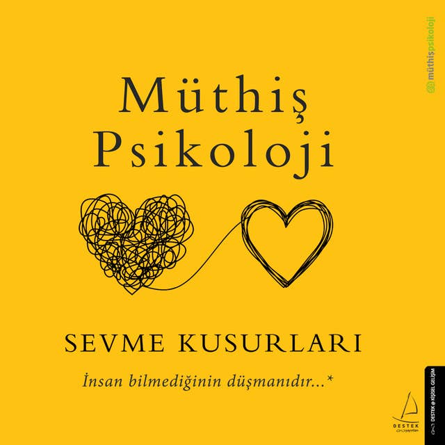 Cover for Sevme Kusurları